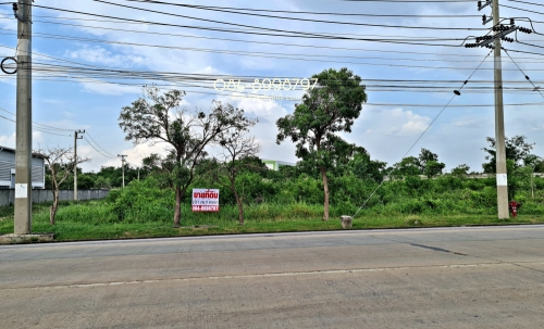 ขายที่ดินถูกยกแปลงเพียง 11 ล้านบาท เท่านั้น!