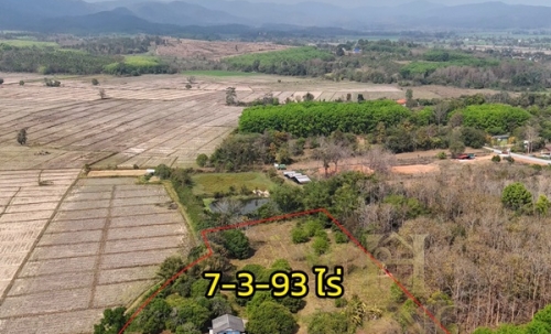 ขายที่ดินเปล่าพร้อมสิ่งปลูกสร้าง ทำเลบ้านจำปู ต.เจริญเมือง อ.พาน จ.เชียงราย โทร 081-0321111