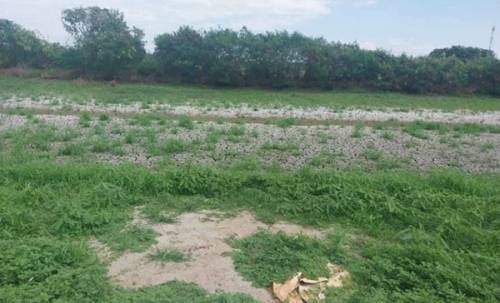 ขายด่วน! ลดกระหน่ำ ถูกสุดๆ ขายที่ดินราคาพิเศษ อ.บางเสาธง จ.สมุทรปราการ สวย ทำเลดี Tel. 092-6869618