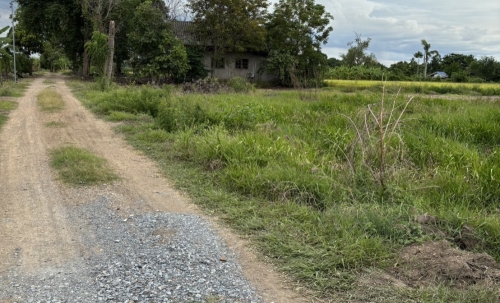 ขายที่ดินถมแล้ว เจ้าของขายเอง  ทำเลดีติดถนนซอย 2 ฝั่ง พระนครศรีอยุธยา