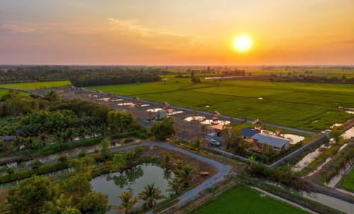 ที่ดินแบ่งขาย ที่ อ.สองพี่น้อง จ.สุพรรณบุรี สวยงาม พร้อมสร้างบ้าน เจ้าของขายเอง โทร 096-8817733