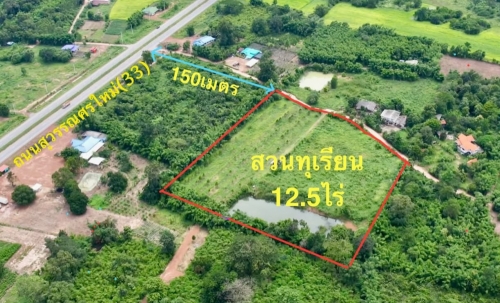ขายสวนทุเรียน  12.5 ไร่  ตำบลโนนห้อม อำเภอเมือง จังหวัดปราจีนบุรี