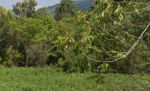 ขายด่วน ที่ดินแปลงใหญ่ 42 ไร่ วิวเขาสวย กบินทร์บุรี จ.ปราจีนบุรี ทำเลดี โทร 066-112-0133