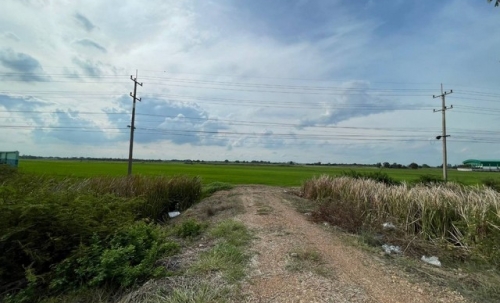 ขายทำเลดีและพื้นที่ที่ดินสวยมาก  ต.บางพระขาว อ.บางบาล จ.พระนครศรีอยุธยา
