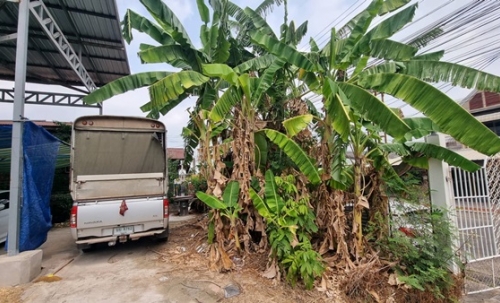 ขายที่ดินราคาถูก พร้อมบ้าน 2 ชั้น 101 ตร.ว. เมืองร้อยเอ็ด ทำเลดีเข้าออกสะดวก ใกล้แหล่งชุมชน และสถานที่สำคัญ โทร 063-2825635