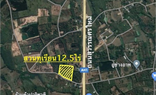ขายสวนทุเรียน  12.5 ไร่  ตำบลโนนห้อม อำเภอเมือง จังหวัดปราจีนบุรี