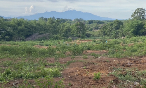 ขาย!!! ที่ดินสวย ทำเลศักยภาพ ใจกลางเมือง..หลังค่ายตากสิน..เนื้อที่ 14 ไร่เศษ โทร 092-5635533