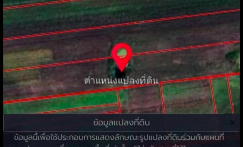 ขายที่ดิน 12 ไร่ 20 ตารางวา เจ้าของขายเอง ตำบลช่องสาริกา อำเภอพัฒนานิคม จังหวัดลพบุรี