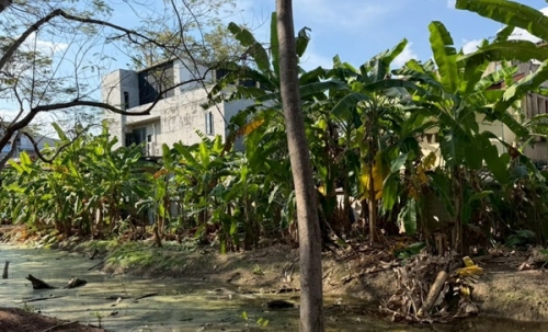 ขายที่ดิน 6 ไร่กว่า พหลโยธิน35 แยก19 ซ.สังข์ทอง 9 ใกล้เมเจอร์รัชโยธิน โทร 090-6360022