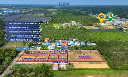 ขายด่วน! ที่ดินใกล้วัดท่าไม้ เริ่ม 700,000 ต่อรองได้ อ.กระทุ่มแบน จ.สมุทรสาคร ทำเลชุมชน โทร 082-8756645