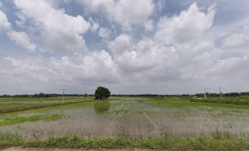 ขายที่ดิน ที่นา พิษณุโลก อำเภอวังทอง 19 ไร่ สวยมาก วิวนาสวย อากาศดี เงียบสงบ โทร 063-2825635