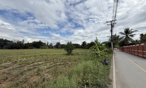 แบ่งขายที่ดิน 14 แปลง ขนาด 75-122 ตารางวา ตั้งอยู่ที่ ตำบลแม่ปูคา อำเภอสันกำแพง จังหวัดเชียงใหม่ (เจ้าของขายเอง) โทร 0806169615