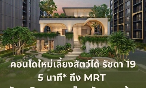 เดอะ เบส รัชดา 19 คอนโดเลี้ยงสัตว์ได้ เดินทางสะดวก ใกล้ MRT รัชดาภิเษก โทร 065-4496399