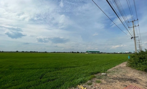 ขายทำเลดีและพื้นที่ที่ดินสวยมาก  ต.บางพระขาว อ.บางบาล จ.พระนครศรีอยุธยา