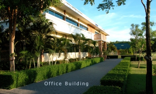 ขายโรงงาน และ สวนป่าเบญพรรณ อายุ 25 ปี อ.เขาชะเมา จ.ระยอง ราคาพิเศษ โทร 095-2601140