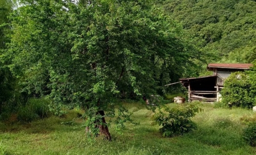 ขายด่วน! ที่ดินเปล่า ทำเลดี ใกล้เมืองนครสวรรค์ เนื้อที่ 160 ตร.ว. โทร 092-6869618