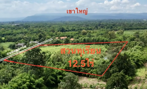 ขายสวนทุเรียน  12.5 ไร่  ตำบลโนนห้อม อำเภอเมือง จังหวัดปราจีนบุรี