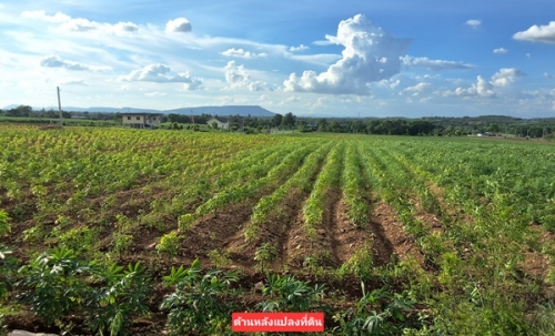 ขายที่ดินโฉนด 12.5 ไร่ ต.หินซ้อน อ.แก่งคอย จ.สระบุรี บรรยากาศดี โทร 094-5276439