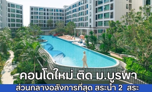เคฟ โคโค่ บางแสน ซื้อคุ้มกว่าเช่า! คอนโดพร้อมอยู่ ติด ม.บูรพา ใกล้ทะเลเพียง 5 นาที โทร 065-563-9565