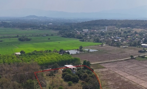 ขายที่ดินเปล่าพร้อมสิ่งปลูกสร้าง ทำเลบ้านจำปู ต.เจริญเมือง อ.พาน จ.เชียงราย โทร 081-0321111