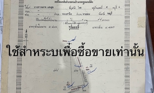 ขายที่ดินเปล่า ติดถนน เนื้อที่ 198 ตร.ว. ติดถนน ต.หนองตำลึง อ.พานทอง จ.ชลบุรี โทร 0953157555