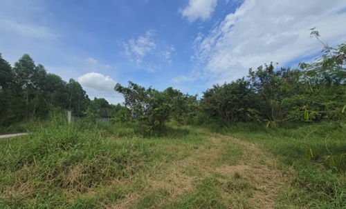 ขายที่ดิน บ้านบึง ชลบุรี 5 ไร่ 1 งาน 46 ตร.ว. ทำเลดี เหมาะลงทุน โทร 098-4282935