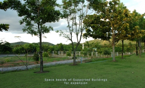 ขายโรงงาน และ สวนป่าเบญพรรณ อายุ 25 ปี อ.เขาชะเมา จ.ระยอง ราคาพิเศษ โทร 095-2601140