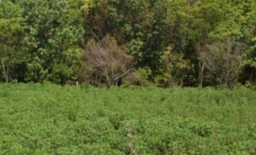 ขายด่วน ที่ดินแปลงใหญ่ 42 ไร่ วิวเขาสวย กบินทร์บุรี จ.ปราจีนบุรี ทำเลดี โทร 066-112-0133