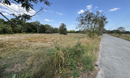 ขายที่ดิน 13 ไร่ 63 ตารางวา นครนายก ถนนสุวรรณศร หมู่ที่9 ต.ป่าขะ อ.บ้านนา โทร 089-7411750