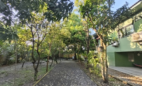 ขายบ้านสวน พร้อมที่ดิน 3 ไร่ อ.หนองเสือ จ.ปทุมธานี น้ำไม่ท่วม พร้อมเข้าอยู่ โทร 086-7777215 เจ้าของขายเอง