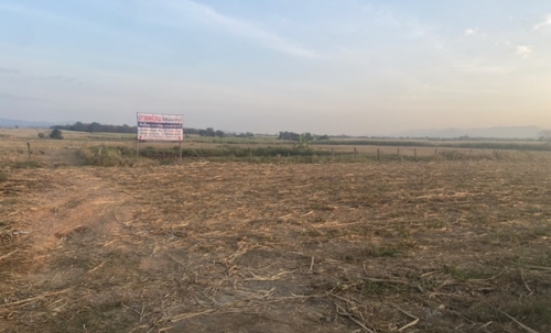 ด่วน!! ขายที่ดินแม่สอด-ห้วยกระโหลก 42 ไร่ ที่มีโฉนด นส.4 ครุฑแดง แปลงเดียวในย่านนี้ โทร 083-5437789