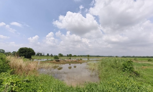 ขายที่ดิน ที่นา พิษณุโลก อำเภอวังทอง 19 ไร่ สวยมาก วิวนาสวย อากาศดี เงียบสงบ โทร 063-2825635