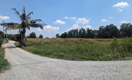 ขายที่ดิน แปลงสวย พนัสนิคม ชลบุรี ติดถนน 3 ด้าน 12-3-71 ไร่ ทำเลทอง ศุขประยูร-พนัสนิคม โทร 0818213624