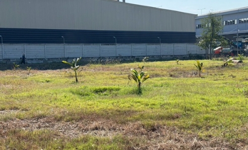 ขายที่ดิน 4 ไร่ 3 ตรว. บางนา กม.25 (พื้นที่สีแดง) ติดถนนบางนา-ตราด ฝั่งขาออก โทร 090-6360022