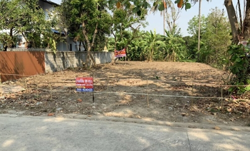 ขายที่ดิน บางใหญ่ ใกล้รถไฟฟ้า 99 วา 2.1 ล้าน 0864540423