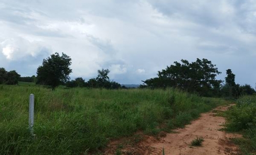 ขายที่ดิน ลดราคา 2 ไร่ สวย ที่ไทรโยค กาญจนบุรี เหมาะกับคนรักความสงบ พักผ่อน ทำสวน โทรคุยเลย 0810117012