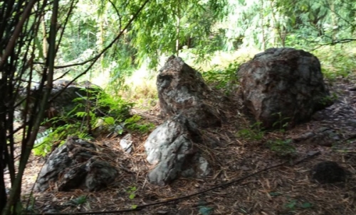 ขายด่วน! ที่ดินเปล่า ทำเลดี ใกล้เมืองนครสวรรค์ เนื้อที่ 160 ตร.ว. โทร 092-6869618