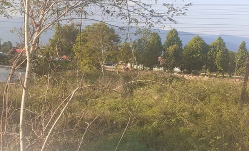 ขายที่ดินด่วนๆ ลดราคา 15 ไร่ ไคสี เมืองบึงกาฬ ใกล้สะพานมิตรภาพ ไทย-ลาว อยู่ติด ถ.ชยางกูร ติดทางเข้าวัดอาฮงศิลาวาส โทร 0632897879