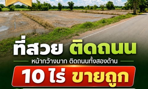 ขายที่ดินสวย ทำเลดีมาก ติดถนน 2 ด้าน ตำบลเด่นใหญ่ อำเภอหันคา จังหวัดชัยนาท