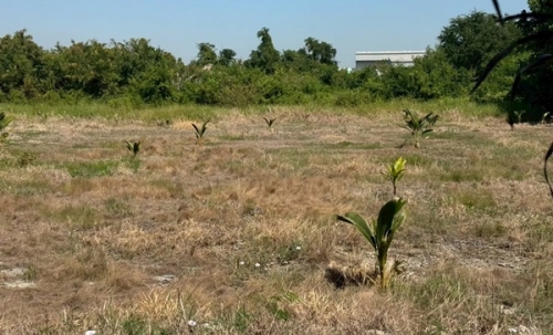 ขายที่ดิน 4 ไร่ 3 ตรว. บางนา กม.25 (พื้นที่สีแดง) ติดถนนบางนา-ตราด ฝั่งขาออก โทร 090-6360022