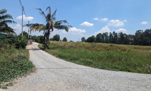 ขายที่ดิน แปลงสวย พนัสนิคม ชลบุรี ติดถนน 3 ด้าน 12-3-71 ไร่ ทำเลทอง ศุขประยูร-พนัสนิคม โทร 0818213624