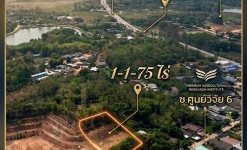 ขายที่ดินเนินเขา 1 ไร่กว่า ใกล้สิงห์ปาร์ค-วัดร่องขุ่น ทำเลแยกหัวฝาย เชียงราย น้ำไม่ท่วม! โทร 081-0321111