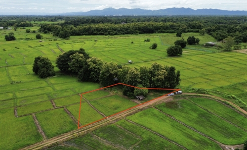 ขายด่วน! ที่ดิน อ.เมืองลำปาง 1 ไร่ 61 ตร.ว. เพียง 350,000 บ. #ฟรีค่าโอน ต่ำกว่าราคาประเมิน ติดทางสาธารณะและลำเหมือง