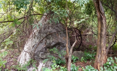 ขายด่วน! ที่ดินเปล่า ทำเลดี ใกล้เมืองนครสวรรค์ เนื้อที่ 160 ตร.ว. โทร 092-6869618