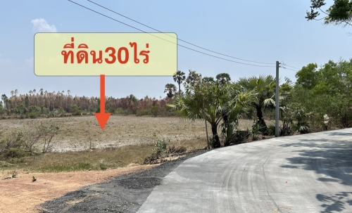 ขายที่ดินทำเลดี 30 ไร่ เจ้าของขายเอง  081-3763803