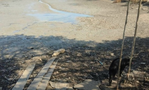 ขายด่วน! ลดกระหน่ำ ถูกสุดๆ ขายที่ดินราคาพิเศษ อ.บางเสาธง จ.สมุทรปราการ สวย ทำเลดี Tel. 092-6869618