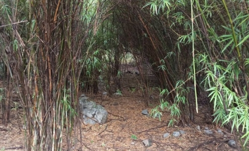 ขายด่วน! ที่ดินเปล่า ทำเลดี ใกล้เมืองนครสวรรค์ เนื้อที่ 160 ตร.ว. โทร 092-6869618