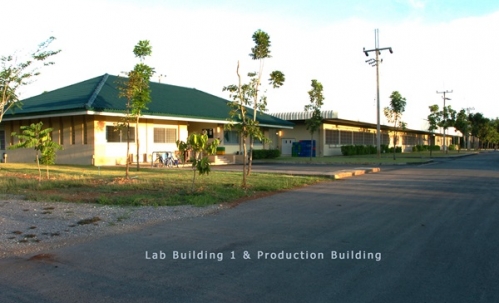 ขายโรงงาน และ สวนป่าเบญพรรณ อายุ 25 ปี อ.เขาชะเมา จ.ระยอง ราคาพิเศษ โทร 095-2601140