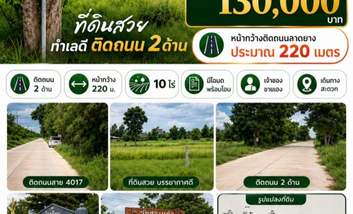 ขายที่ดินสวย ทำเลดีมาก ติดถนน 2 ด้าน ตำบลเด่นใหญ่ อำเภอหันคา จังหวัดชัยนาท