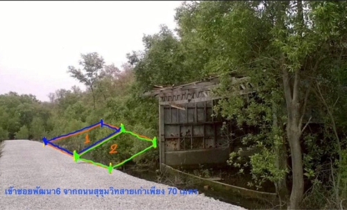 ขายที่ดินเปล่า นส4 มี2แปลง 68,69 ตรว. ล้านต้นๆ ที่ดินห่างจากถนนสุขุมวิทสายเก่าเพียง70 เมตร